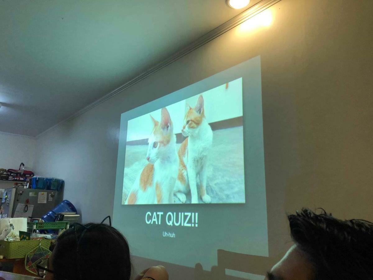 Cat Japanese Only At Uh Huh House Hostel Cebu Exterior photo